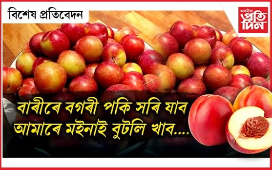 আমাৰে মইনা শুব এ, 
বাৰীতে বগৰী ৰুব এ....