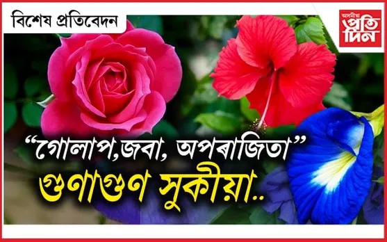 ফুলৰ কথাৰে....