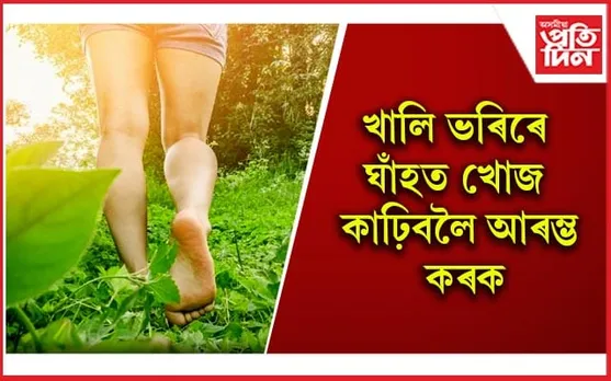 নিমিষতে দূৰ হ’ব মন, মগজু,কিডনী, লিভাৰৰ সমস্যা 