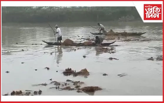 বংকোৱালৰ বানত মৃত্যু কৃষকৰ পশুধনৰ, উটি গ'ল ভঁৰালৰ ধান...