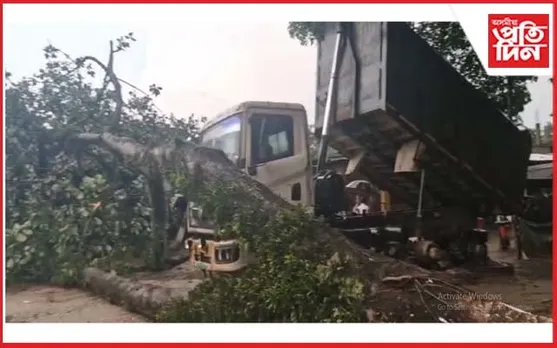 জামুগুৰিহাটত প্ৰচণ্ড ধুমুহা: বৰগছ বাগৰি কেইবাখনো দোকানৰ ক্ষতি সাধন