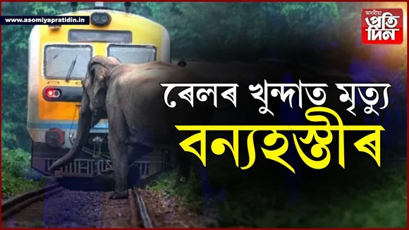 জাগীৰোডত অঘটনঃ ৰে'লৰ খুন্দাত প্ৰাণ গ'ল খাদ্য বিচাৰি অহা বন্যহস্তীৰ...