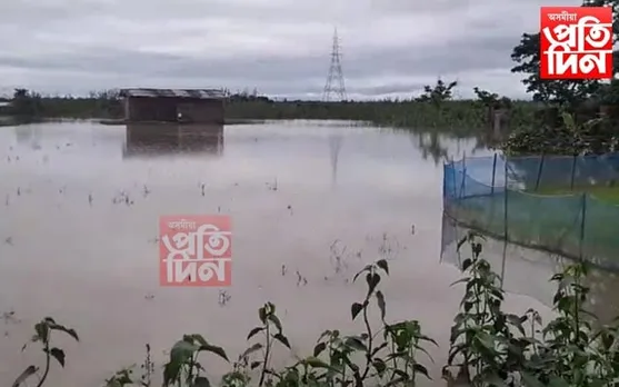 জীয়াভৰলী নদীৰ সংহাৰী ৰূপঃ বিপদ চাপিছে জামুগুৰিটহাট, কন্যকা বহুমুখী পামলৈ..