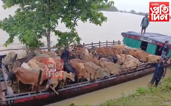 বানাক্ৰান্ত চিচি টঙানি অঞ্চল পৰিদৰ্শন মিচিং জনগোষ্ঠীয় সংগঠনৰ