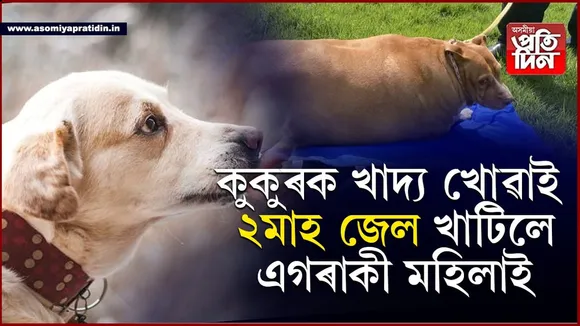 মৰমেই হৈ পৰিল কাল! কুকুৰক খাদ্য খোৱাই এগৰাকী মহিলাৰ জেল যাত্ৰা...