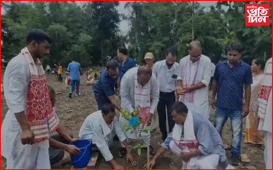 জামুগুৰিহাটত গছপুলি ৰোপন কাৰ্যসূচী...