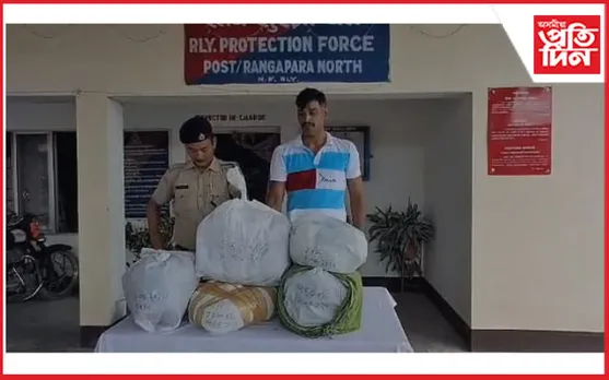 ৰঙাপৰাত যাত্ৰীবাহী ৰে'লত বৃহৎ পৰিমাণৰ নিচাযুক্ত দ্ৰব্য জব্দ
