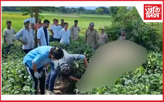 ৰঙাপৰাত বন্যহস্তীৰ মৃতদেহ উদ্ধাৰ 