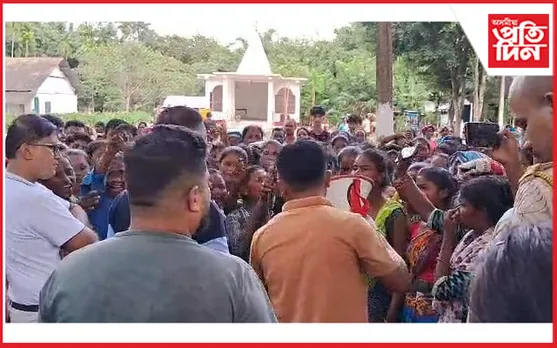 জামুগুৰিহাটৰ বামুনিপামত বনৰীয়া হাতীৰ সন্ত্ৰাস অব্যাহত...