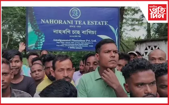 নাহৰণি চাহ বাগিচাত বনাচক কেন্দ্ৰ কৰি উত্তপ্ত পৰিস্থিতি
