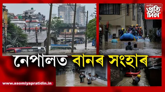 নেপালত বানৰ সংহাৰ, মৃত্যু দুই শতাধিক...
