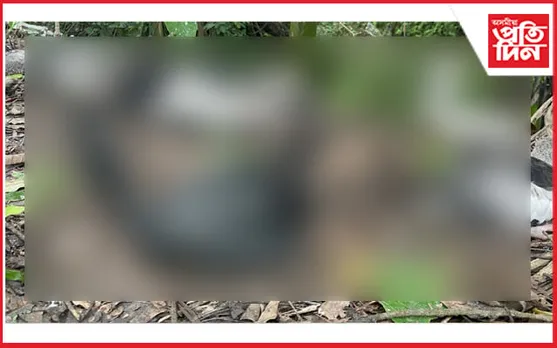 ঢকুৱাখনাত অৰ্ধ শতাধিক পক্ষীৰ অকাল মৃত্যু