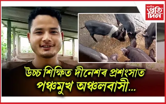 গাহৰি পালনেৰে জীৱিকাৰ পথ মোকলাইছে উচ্চ শিক্ষিত যুৱকে 