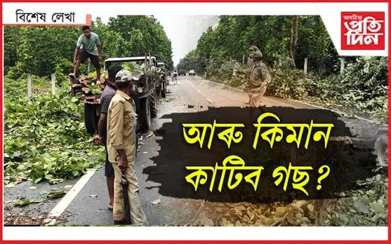 ভাল পাইছো ৰঘুনাথ উৰণ সেতু সাজিছা, গছবোৰ পিছে কিয় কাটিছা ?