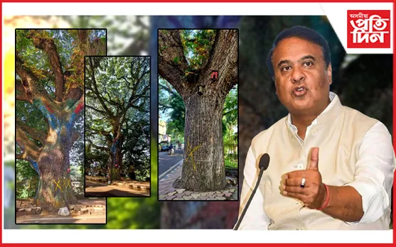 ৰক্ষা পৰিল দীঘলীপুখুৰী পাৰৰ গছসমূহঃ মুখ্য সচিবৰ নেতৃত্ব বৈঠকত বিকল্পৰ সন্ধান