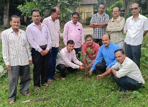 দেৱালী উপলক্ষে মিৰ্জাত গছপুলি ৰোপণ 