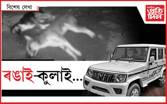 দুটা কুকুৰৰ বাবে এটোপাল চকুপানী...

