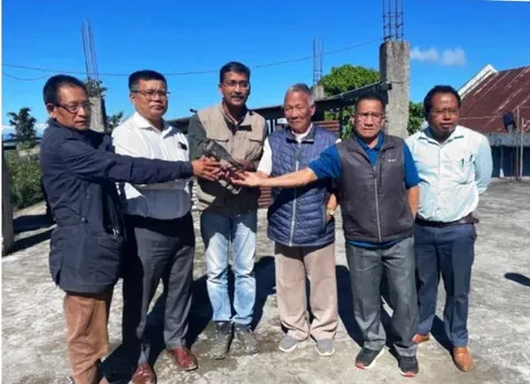 মণিপুৰৰ তামেংলঙত ১১টা বিশ্ব পৰিভ্ৰমী আমুৰ ফেলকন পক্ষীক ছেটেলাইট ট্ৰান্সমিচন টেগ