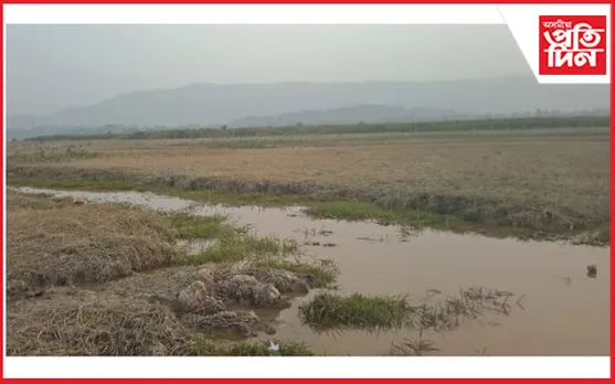 বন বিভাগৰ হেমাহিৰ বাবেই কাজিৰঙাত অতীত হোৱাৰ পথত দুখন বিল