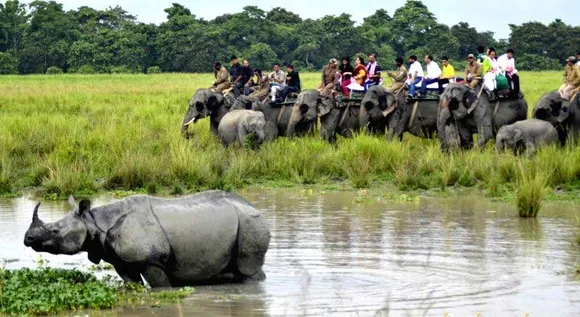 ২ অক্টোবৰত পৰ্যটকৰ বাবে মুকলি হ'ব কাজিৰঙা ৰাষ্ট্ৰীয় উদ্যান...