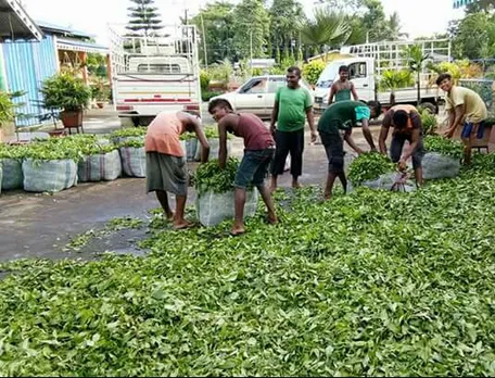 উত্তৰ অসমত ক্ষুদ্ৰ চাহ খেতিয়কৰ বিলৈ, মৌন মন্ত্ৰী ৰঞ্জিৎ দত্ত