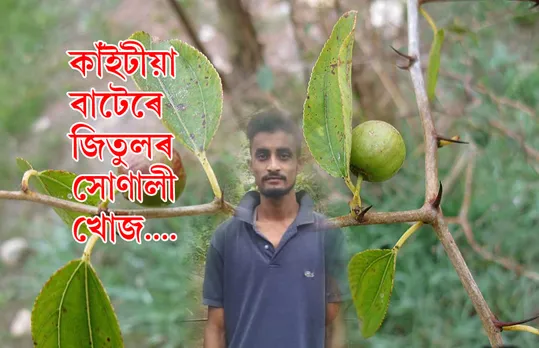 ফুল ভাল পোৱাৰ বয়সত কাঁইটীয়া খেতিৰে লাখ টকা উপাৰ্জন ছাত্ৰ জিতুলৰ