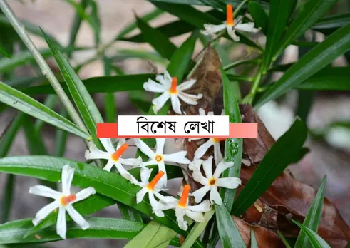 আকৌ আহি গ’ল পূজা…