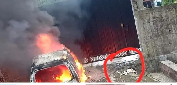 অৰুণাচলত বিজেপি সভাপতিৰ বাসভৱনলৈ মৰা কুকুৰ দলিয়াই নিজ বাহনতে অগ্নিসংযোগ অচিনাক্ত দুৰ্বৃত্তৰ…