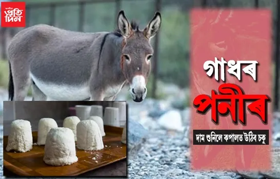 বিশ্বৰ আটাইতকৈ সুস্বাদু পনীৰ খাবলৈ হ’লে দিব লাগিব প্ৰতি কেজিত…