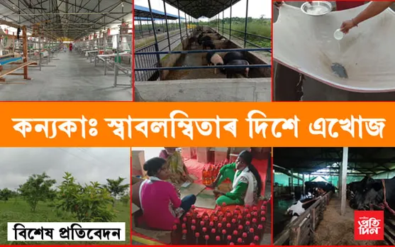 বহিঃৰাজ্যলৈ যাব নালাগে, অসমতে লাভ কৰক সংস্থাপন…