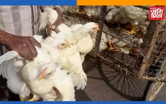 মাঘ বিহুৰ প্ৰাকক্ষণত দেশত বাৰ্ড ফ্লুৰ সংহাৰী ৰূপ, ৰাজ্য চৰকাৰৰ বিশেষ নিষেধাজ্ঞা…