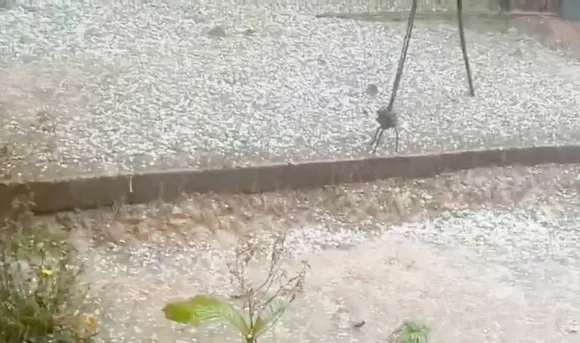 পুৱাই চৰাইদেউত শিলাবৃষ্টি, শস্যৰ ক্ষতিসাধন