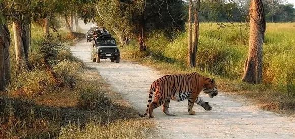 ১৯৮১ চনৰ পাছত দ্বিতীয় বাৰলৈ কাজিৰঙা ভ্ৰমণ কৰিব ভাৰতৰ ৰাষ্ট্ৰপতিয়ে