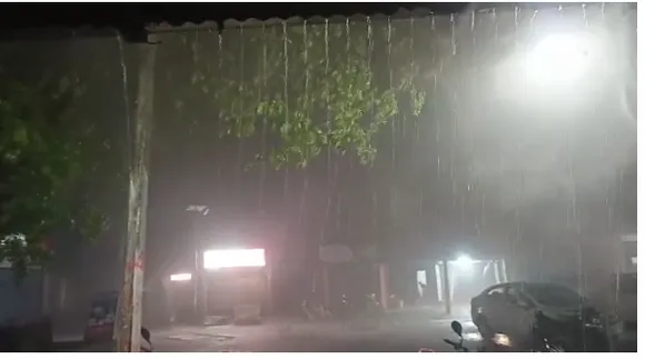 ৰঙালীৰ আনন্দৰ মাজতেই ধুমুহাত গছ উভালি পৰি প্ৰাণ গ’ল মহিলাৰ…