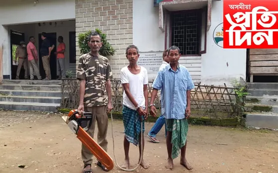 সেউজ বনাঞ্চল ধ্বংসকাৰী দুজনক গ্ৰেপ্তাৰ