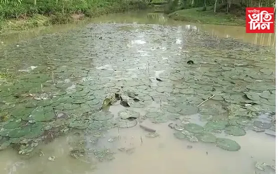 পুখুৰীত পৰি এজনৰ সলিল সমাধি…