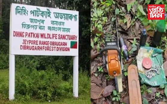 দিহিং পাটকাই ৰাষ্ট্ৰীয় উদ্যানত বন দস্যু আৰু বনকৰ্মীৰ মাজত গুলীয়াগুলী…