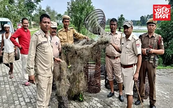 ঢকুৱাখনা আৰক্ষীৰ অভিযানত উদ্ধাৰ থলুৱা মাছ মৰা সঁজুলি