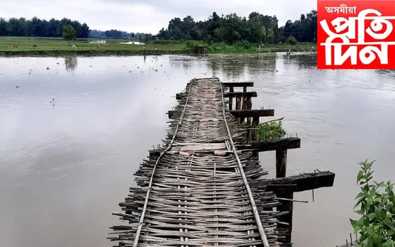 ৫ মাহত উটি গ’ল ১৭ লাখ টকীয়া বাঁহৰ দলং …