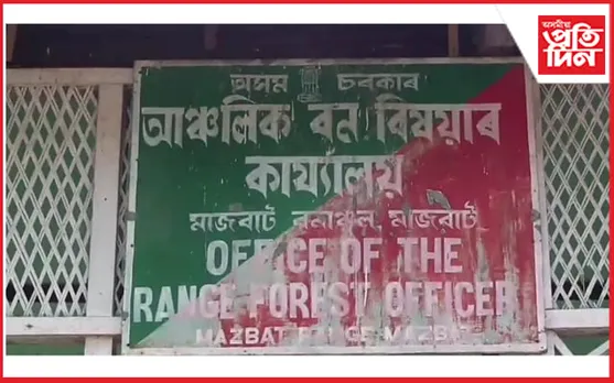 মাজবাটত মৃত হাতী পোৱালীসহ, এটা মৃত হৰিনা উদ্ধাৰ