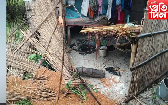 চিৰাঙত বনৰীয়া হাতীৰ তাণ্ডৱ, ভাঙি লণ্ড-ভণ্ড কৰিলে কেইবাটাও বাসগৃহ…