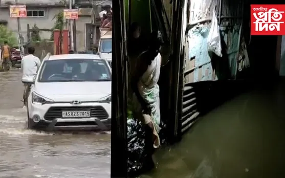 কলঙৰ ৰুদ্ৰ ৰূপ : নগাঁও চহৰৰ বানৰ কবলত…