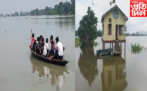 পবিতৰাৰ ৫০ শতাংশ অঞ্চল জলমগ্ন…