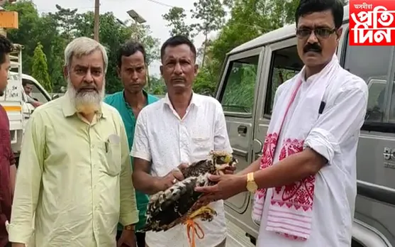 বটদ্ৰৱাত প্ৰকৃতিপ্ৰেমীৰ তৎপৰতাত উদ্ধাৰ দুস্প্ৰাপ্য প্ৰজাতিৰ ঈগল চৰাই…