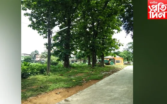 গছ কটাত বাধা আৰোপ প্ৰকৃতি প্ৰেমীৰ:সংৰক্ষণৰ দাবীত বন বিভাগক আবেদন