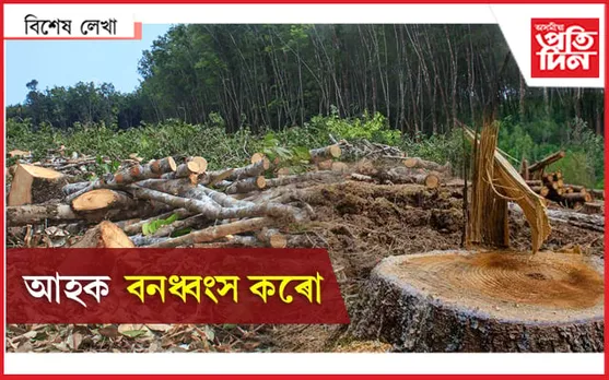 নতুন বন নীতিঃ ইচ্ছা কৰিলেই চৰকাৰে কৰিব পাৰিব বন ধ্বংস…