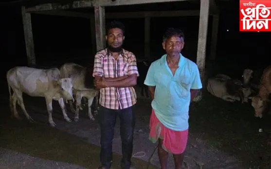 চোৰাং গৰু সহিতে আটক দুই…
