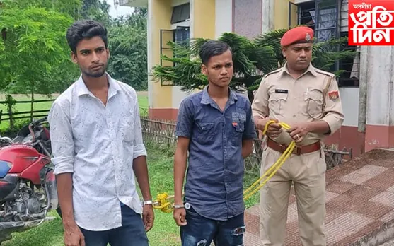 চোৰাং গৰুসহ আটক চালক,গাড়ীৰ গৰাকী…