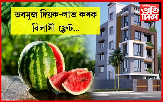 ধন নালাগে! তৰমুজৰ বিনিময়ত লাভ কৰিব বিলাসী ফ্লেট…
