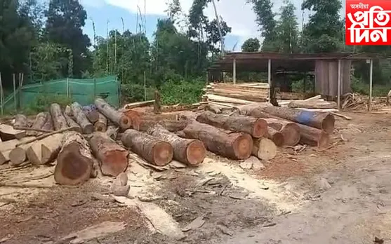 চিৰাঙত ভয়ংকৰ বন ধ্বংস কাৰ্য…